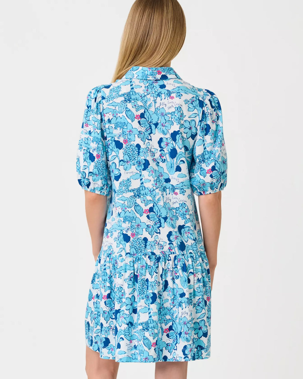 Bingley Dress Capri Blue North Carolina