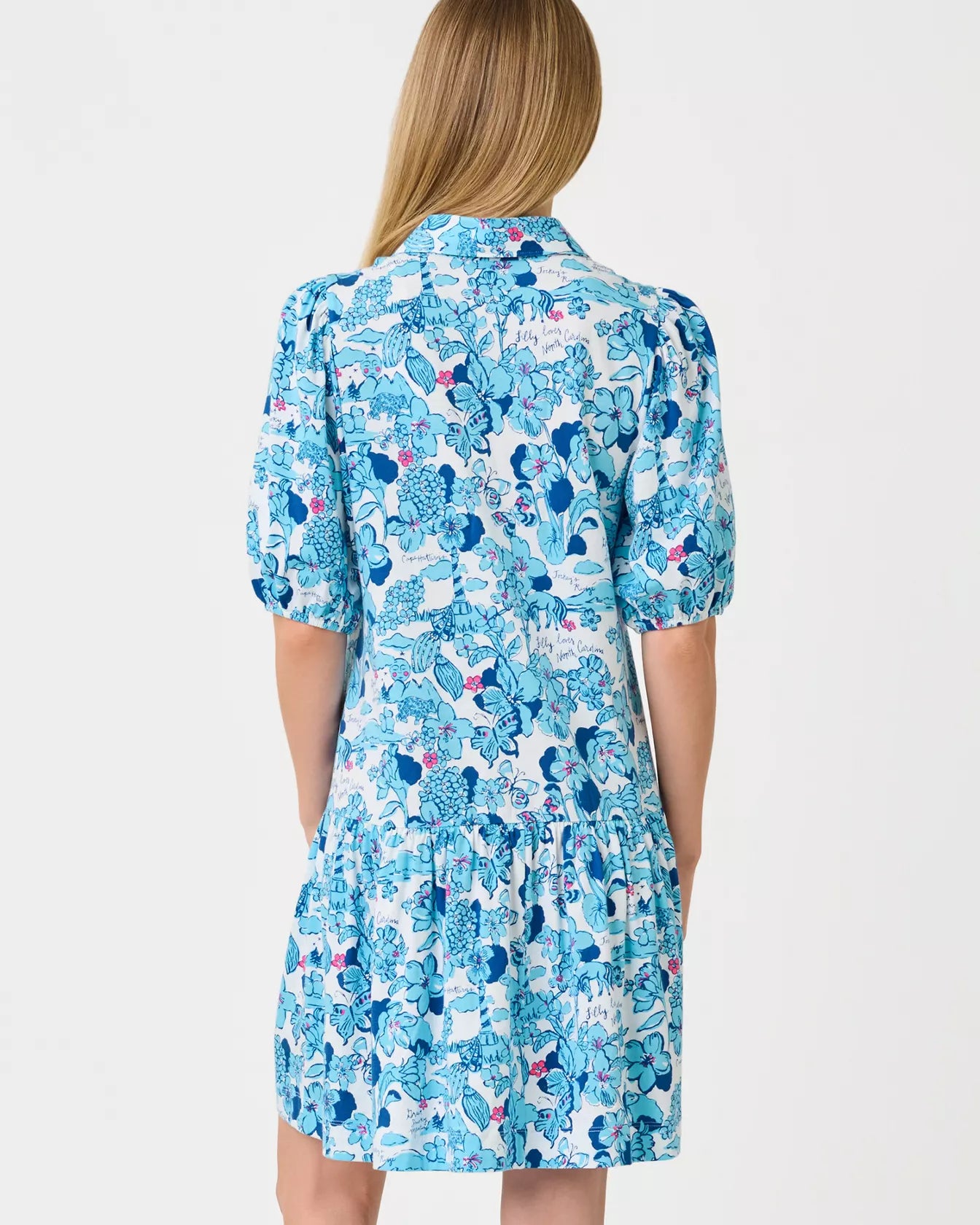 Bingley Dress Capri Blue North Carolina