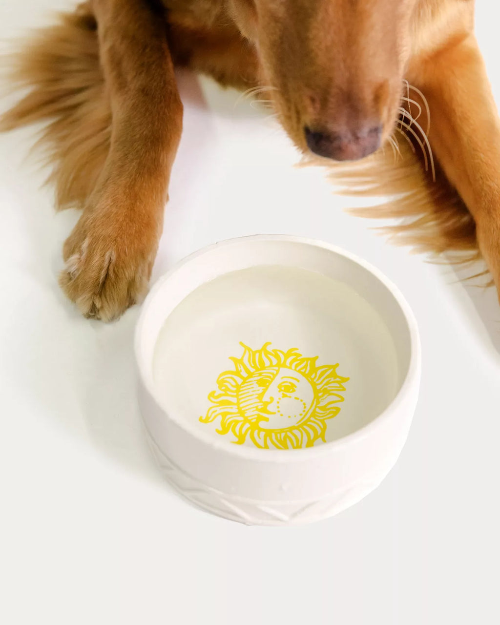 Pet Bowl Sun Tiles Home