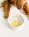 Pet Bowl Sun Tiles Home