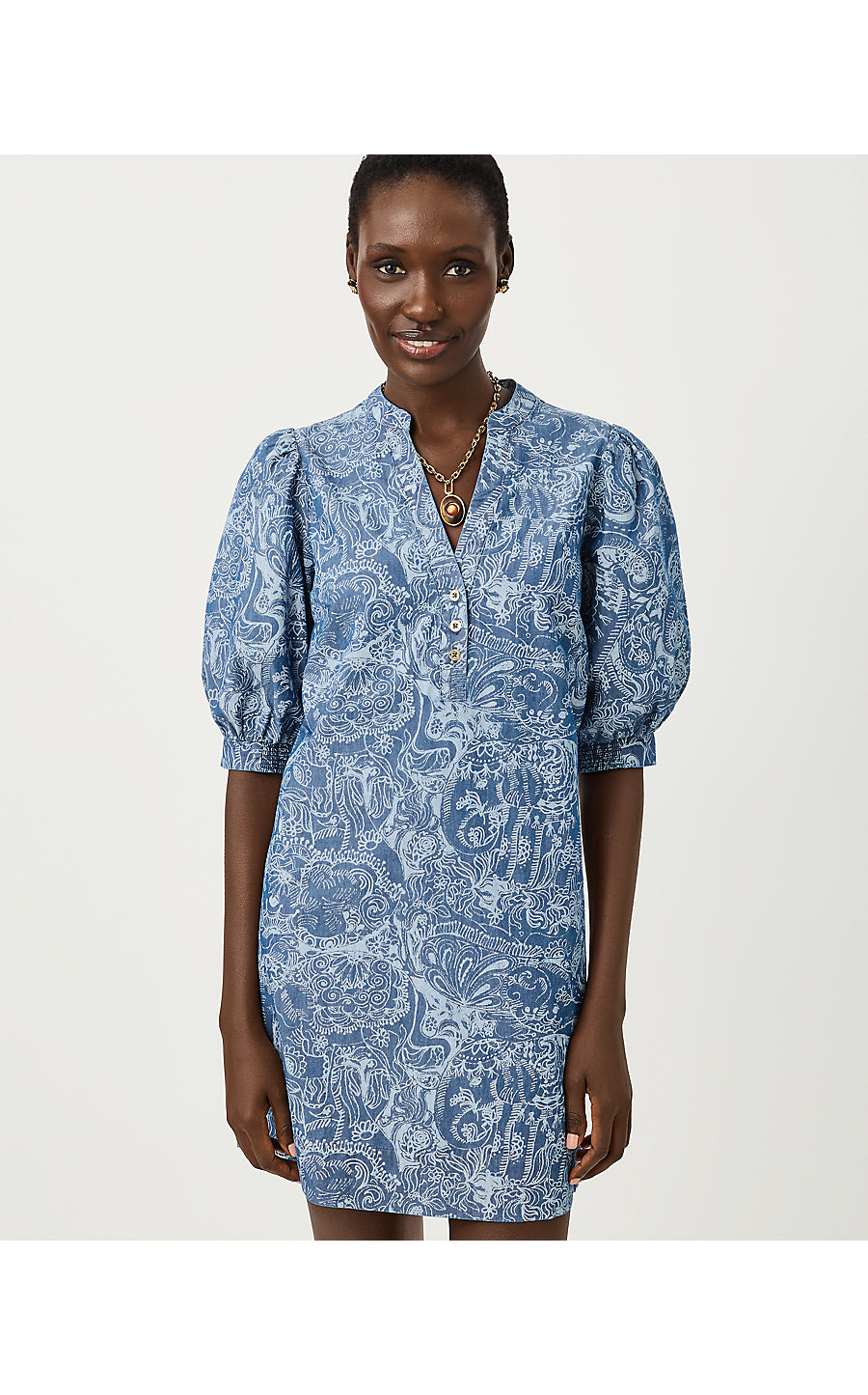 Mialeigh Elbow Sleeve Dress Indigo All Day Chambray Paisley Parade Pigment