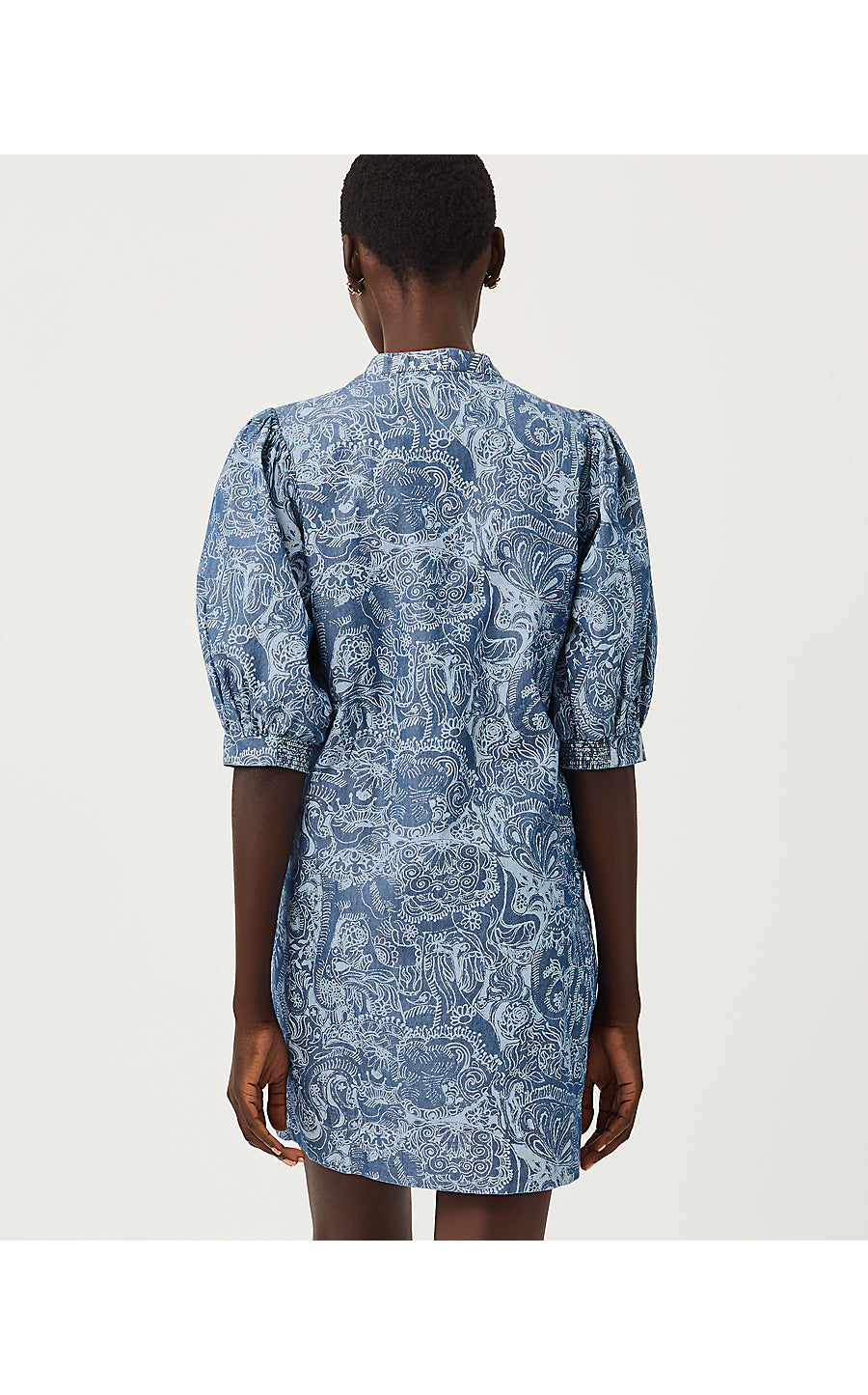 Mialeigh Elbow Sleeve Dress Indigo All Day Chambray Paisley Parade Pigment