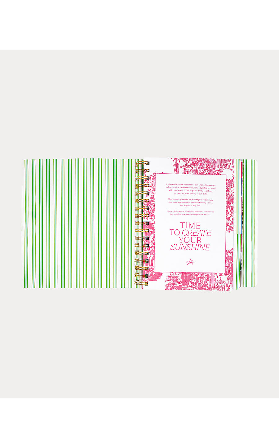 Agenda 17 Month Soft Cover Mint Condition Burst of Joy
