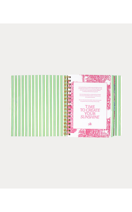 Agenda 17 Month Soft Cover Mint Condition Burst of Joy