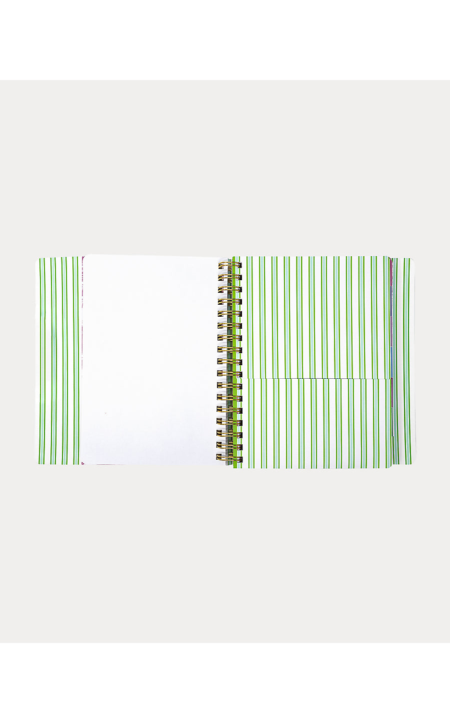 Agenda 17 Month Soft Cover Mint Condition Burst of Joy