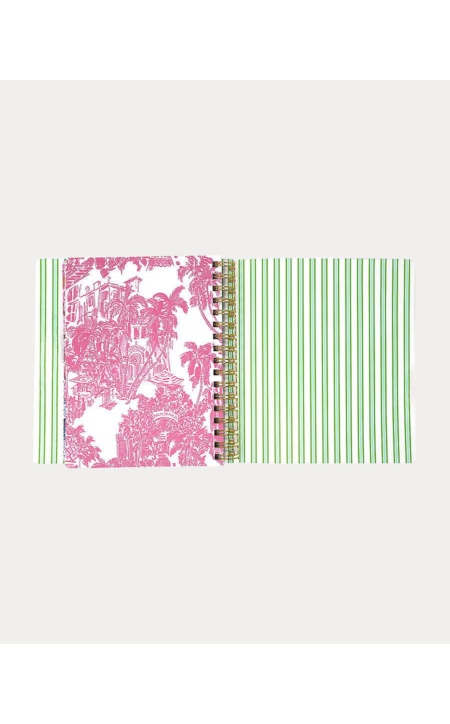 Agenda 17 Month Soft Cover Mint Condition Burst of Joy