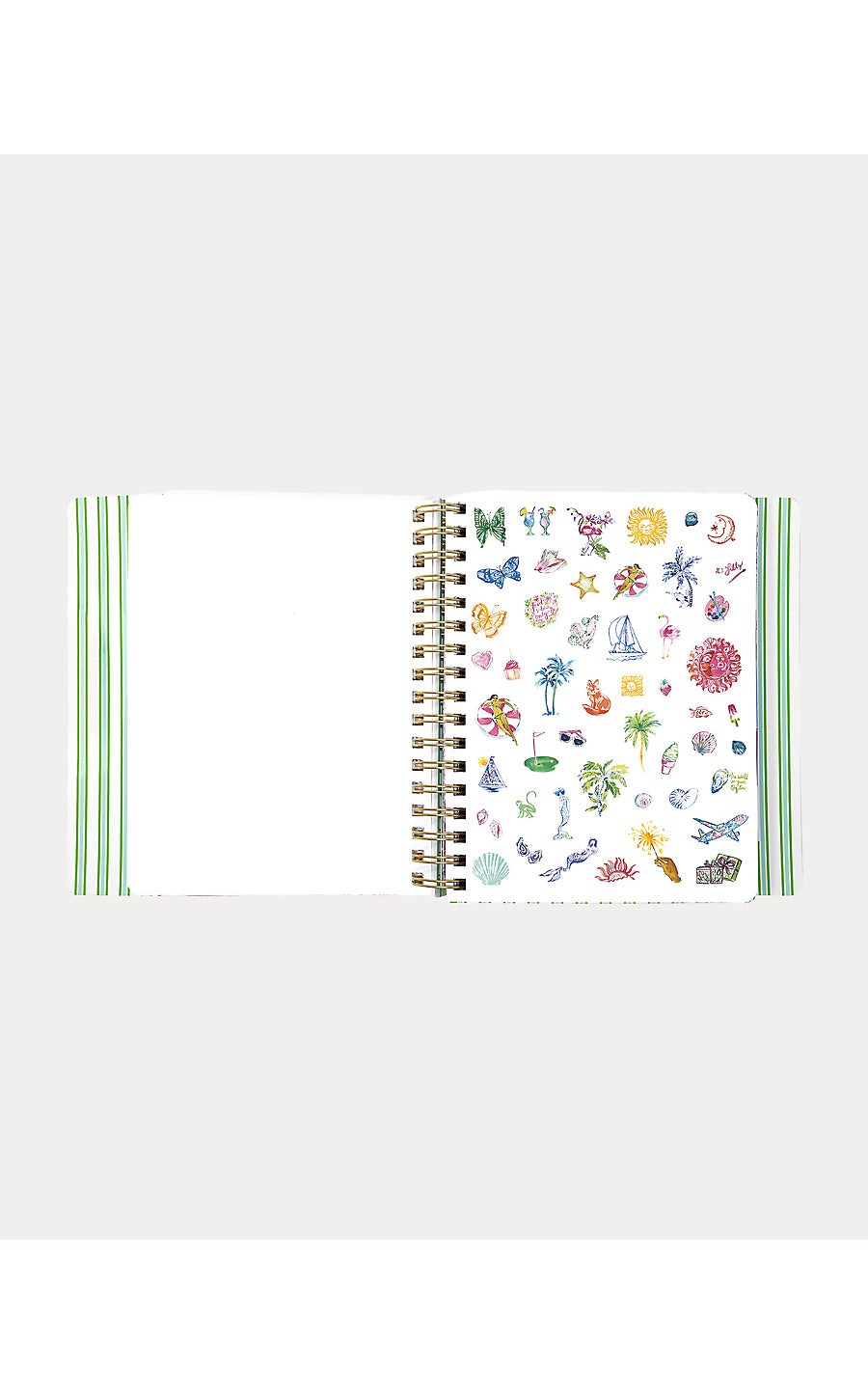 Agenda 17 Month Soft Cover Mint Condition Burst of Joy