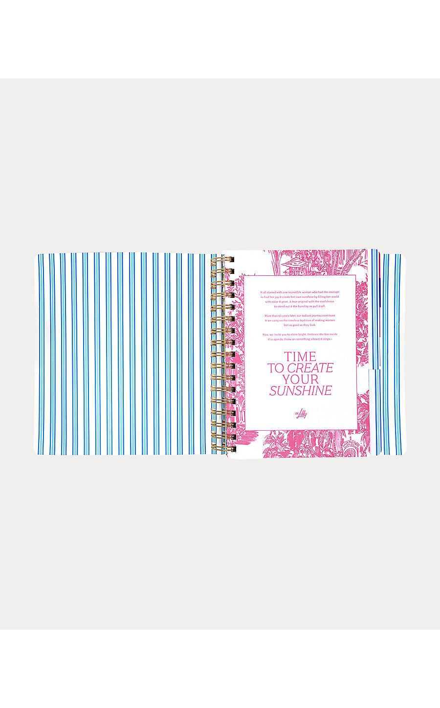 Agenda 17 Month Soft Cover Shell Shine