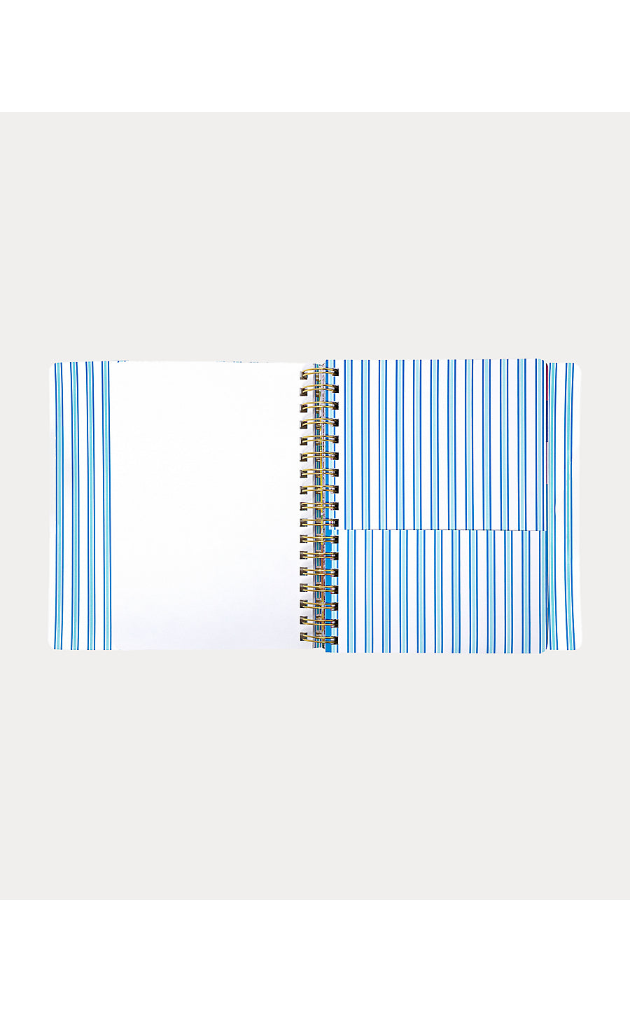 Agenda 17 Month Soft Cover Shell Shine