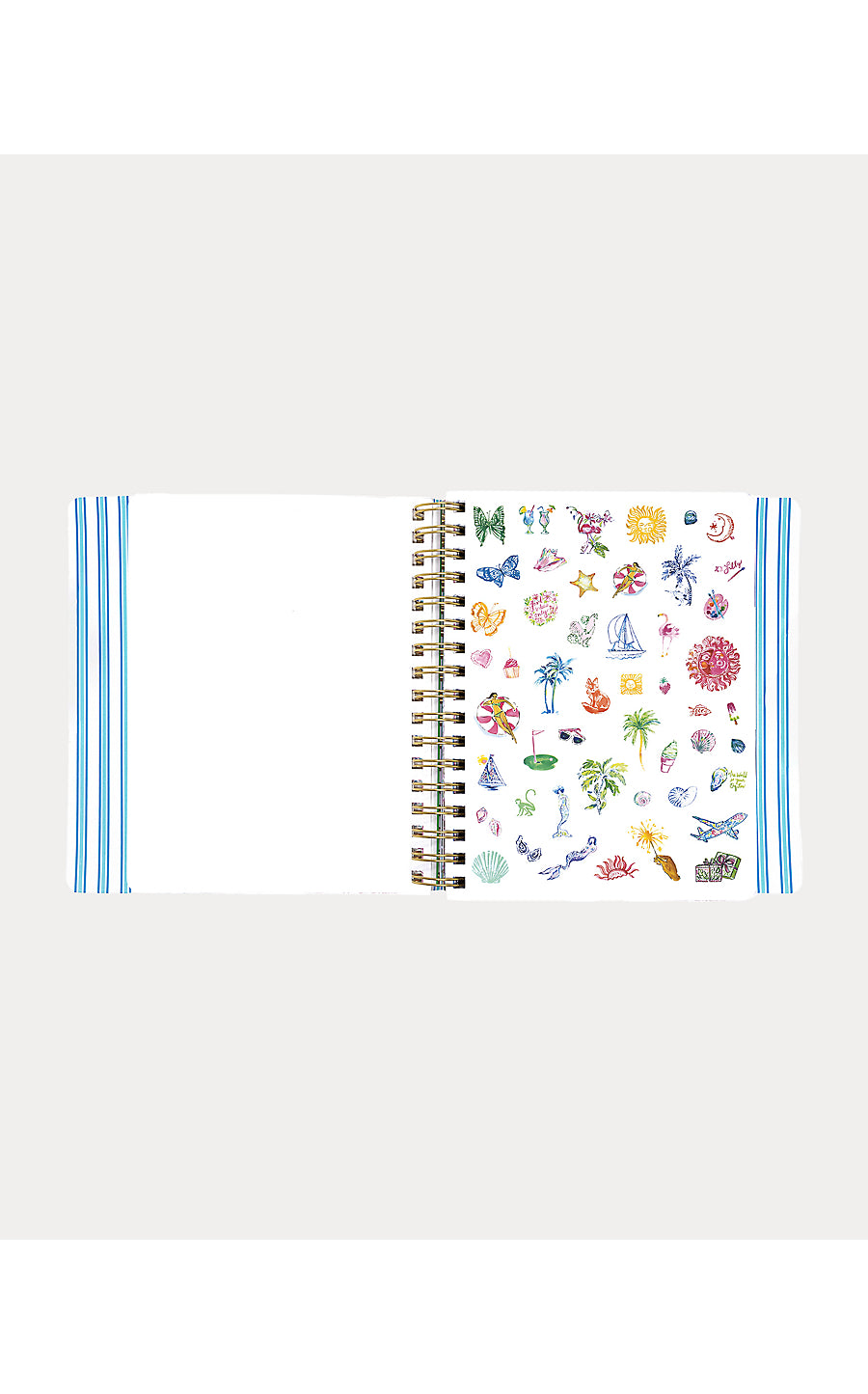 Agenda 17 Month Soft Cover Shell Shine