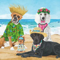 BEV- DOGS' BEACH PARTY