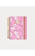 Agenda Large Conch Shell Pink