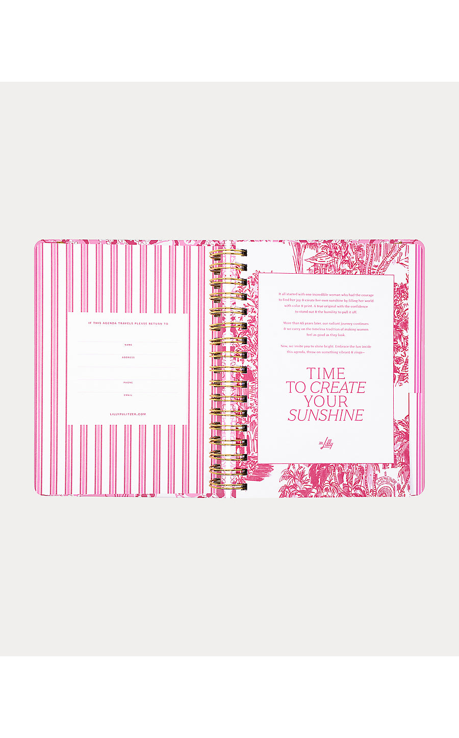 Agenda Large Conch Shell Pink