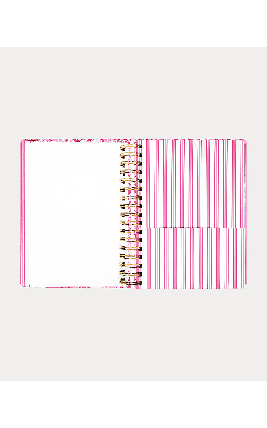 Agenda Large Conch Shell Pink
