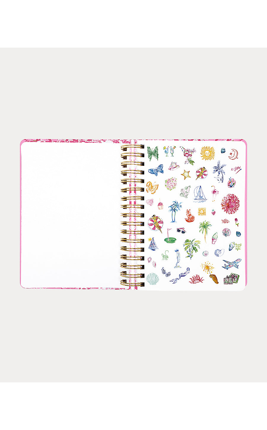 Agenda Large Conch Shell Pink