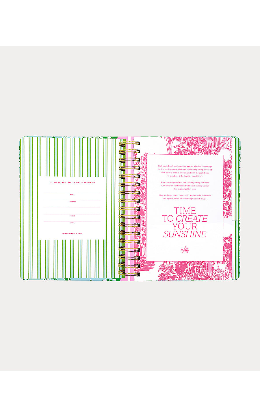 Agenda Large Mint Condition Burst of Joy