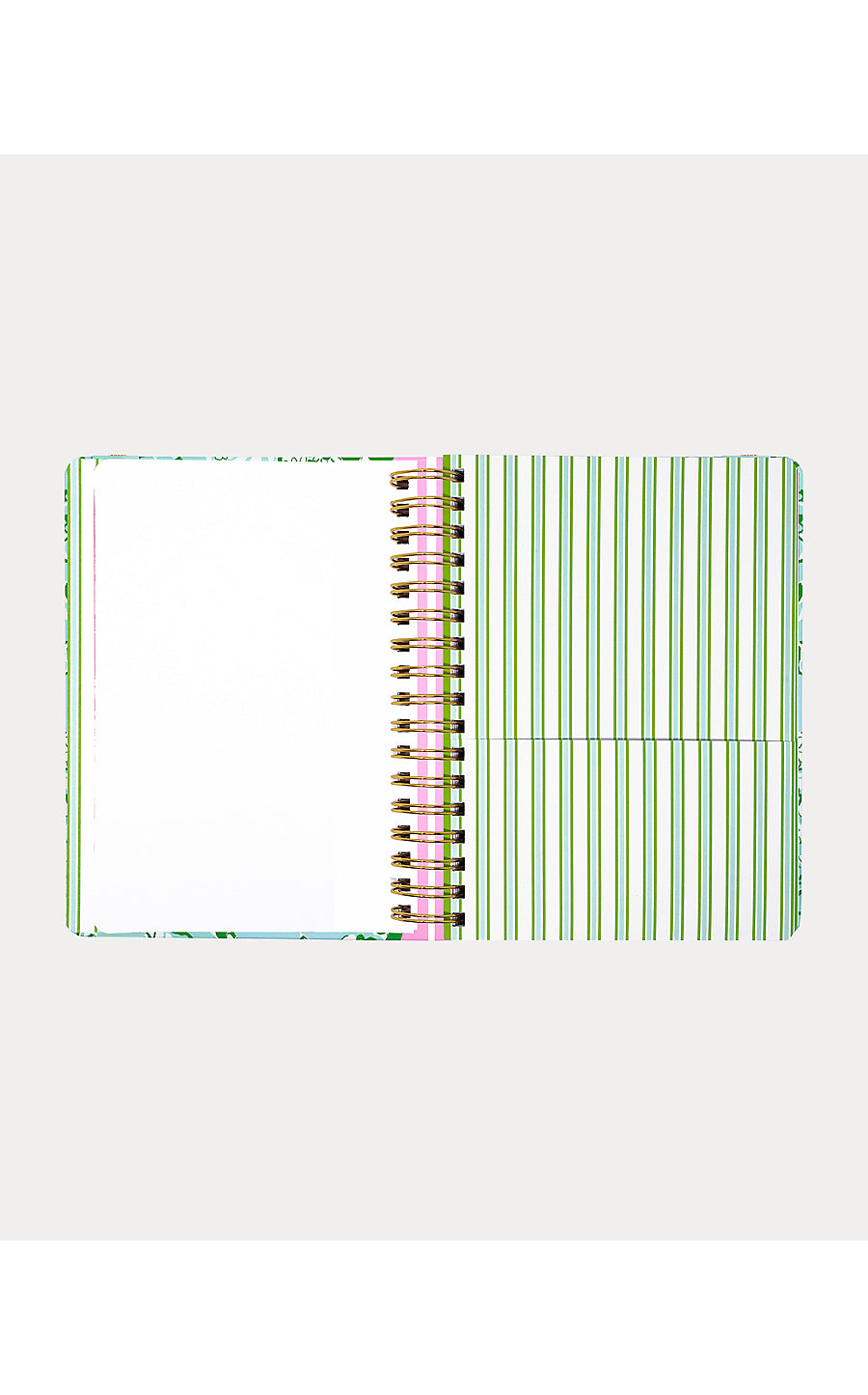 Agenda Large Mint Condition Burst of Joy