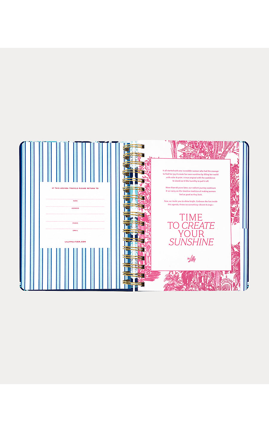Agenda Large Shell Shine