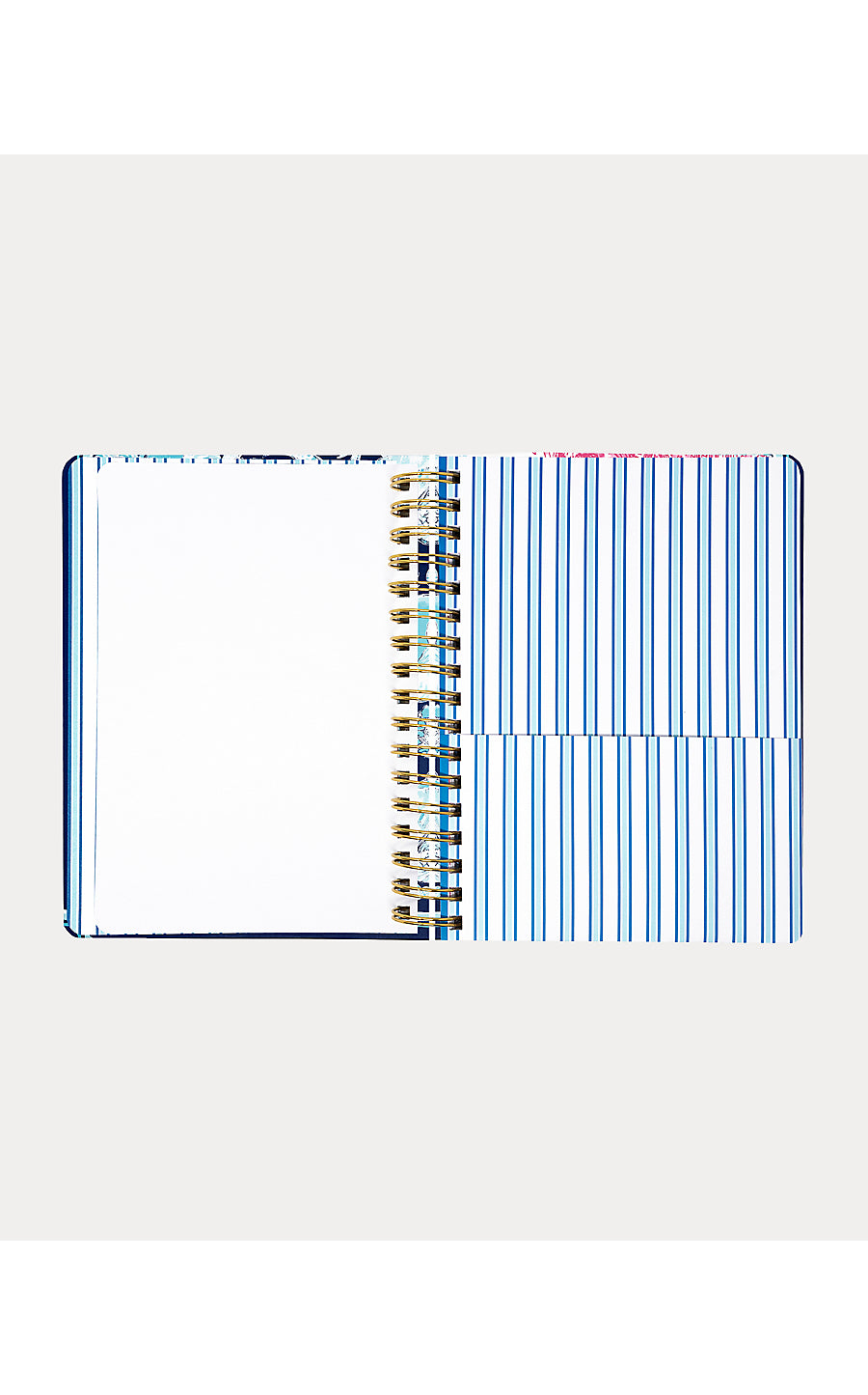 Agenda Large Shell Shine