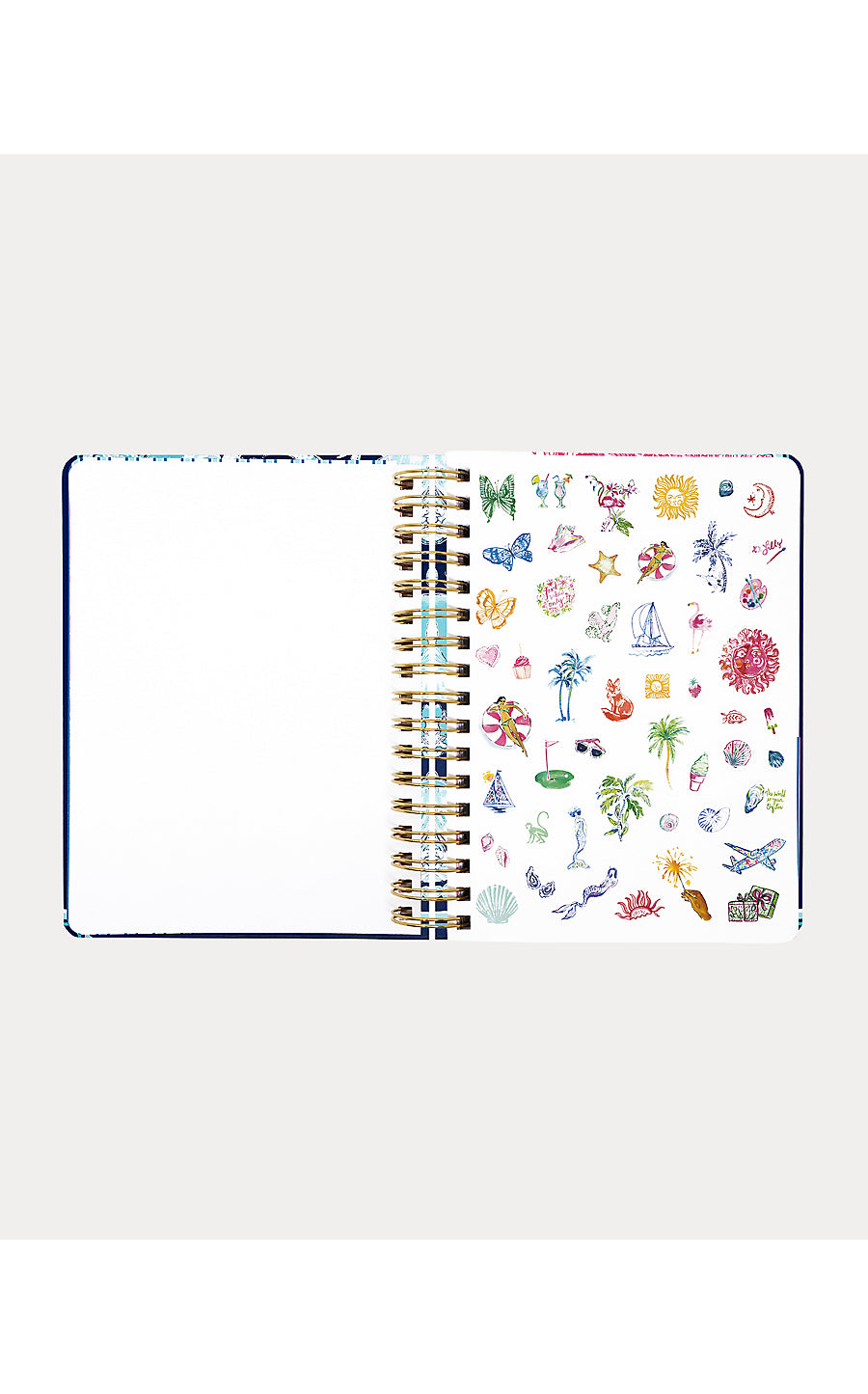 Agenda Large Shell Shine