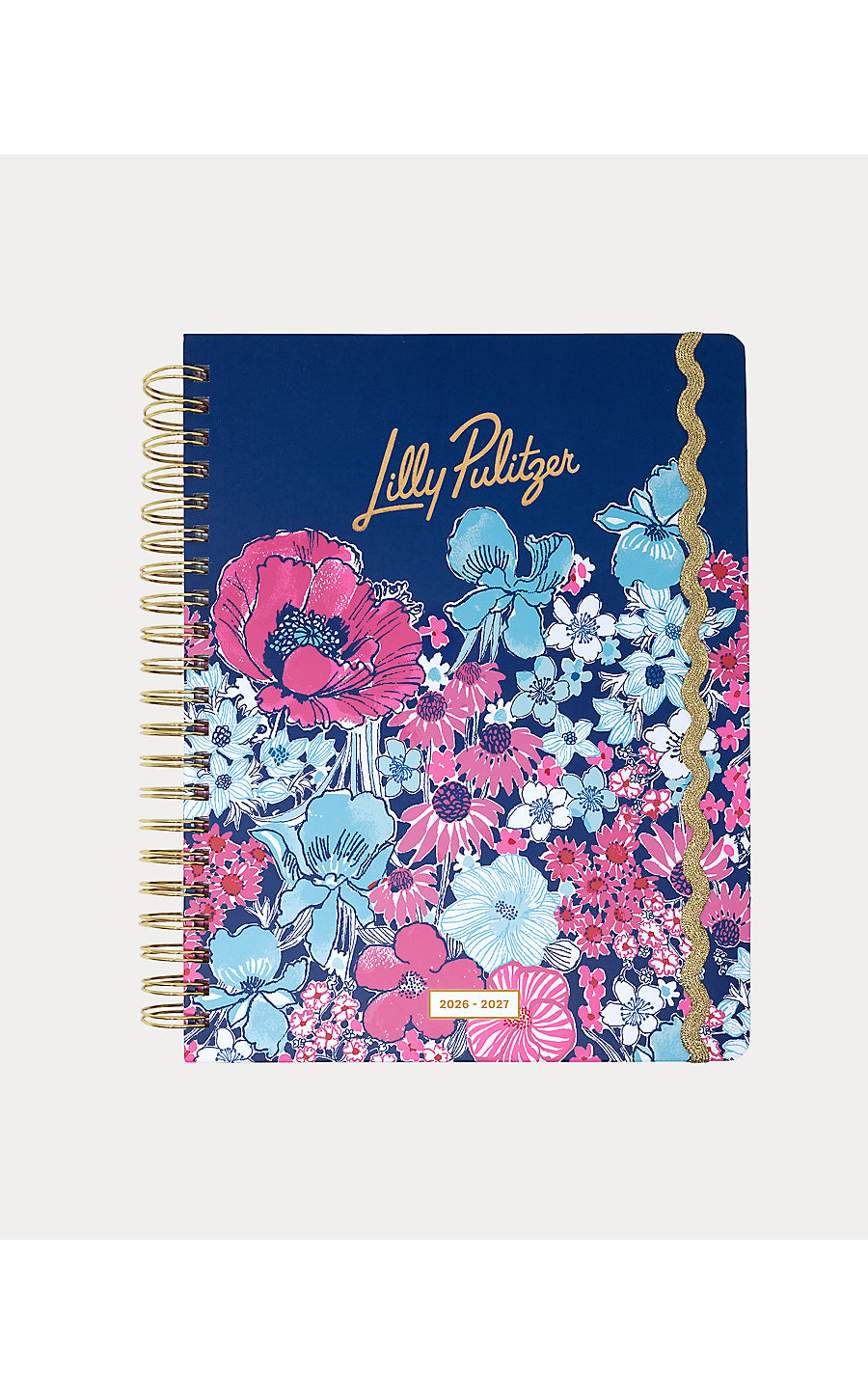 Agenda Jumbo In All Her Glory
