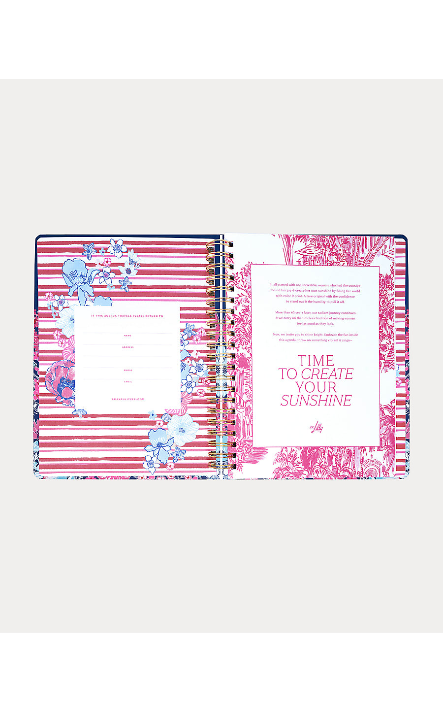 Agenda Jumbo In All Her Glory