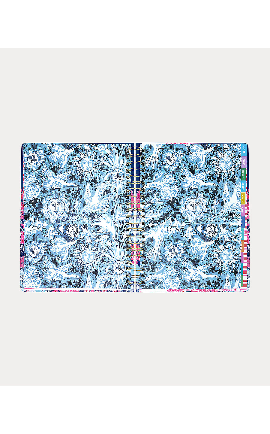 Agenda Jumbo In All Her Glory