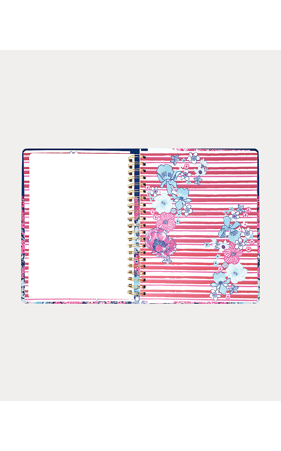Agenda Jumbo In All Her Glory