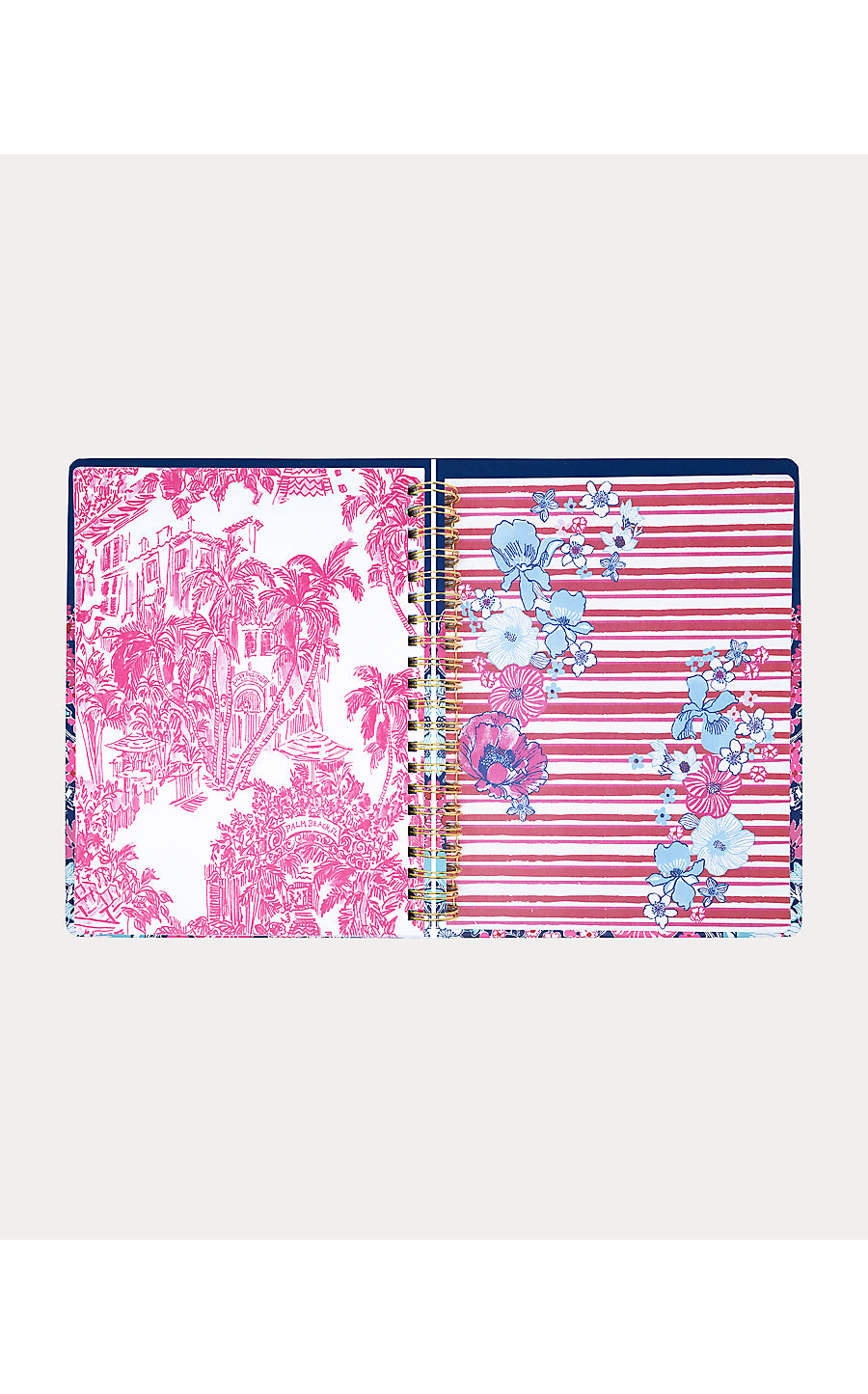 Agenda Jumbo In All Her Glory