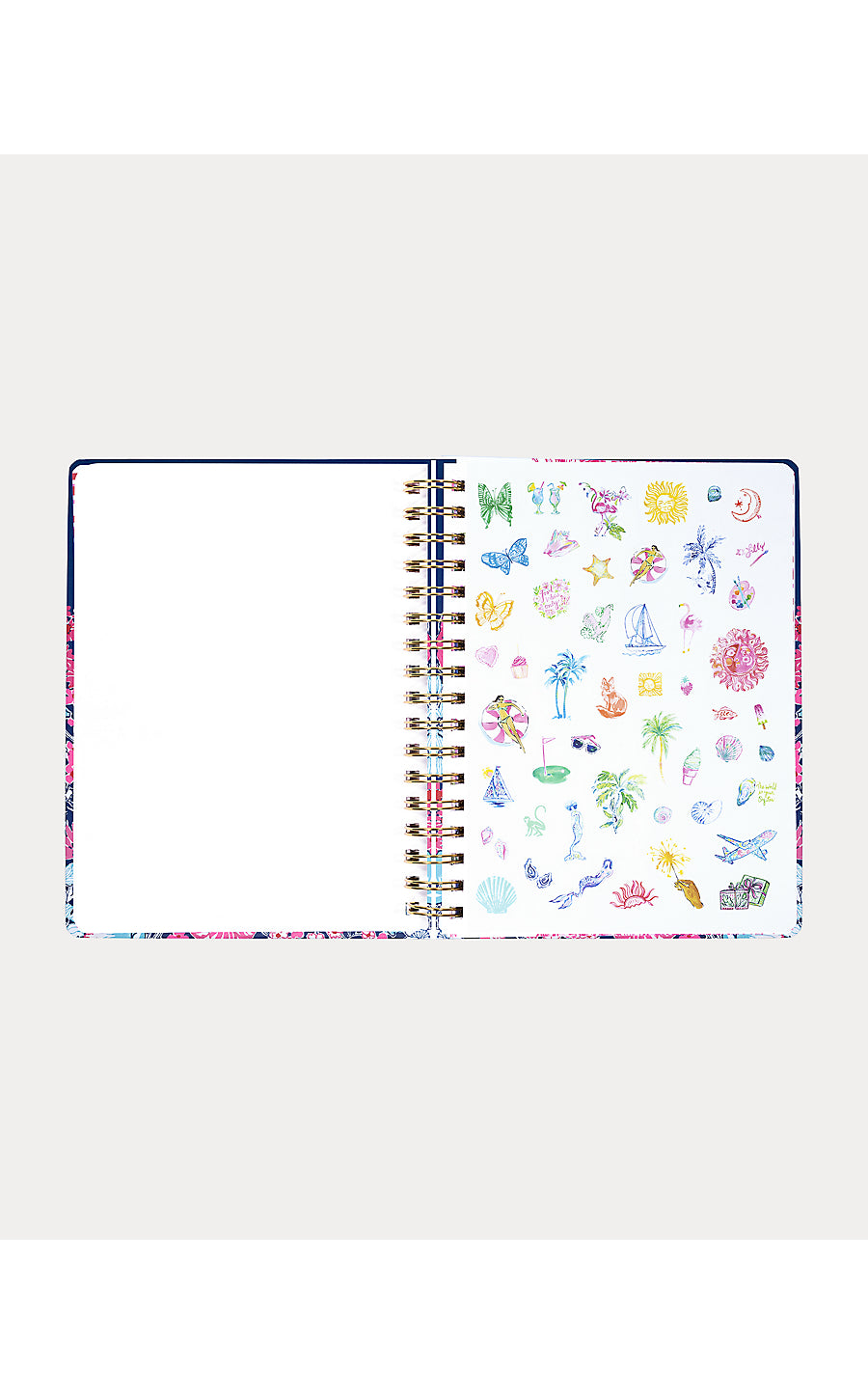 Agenda Jumbo In All Her Glory