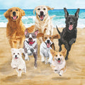 BEV-RELEASE THE HOUNDS