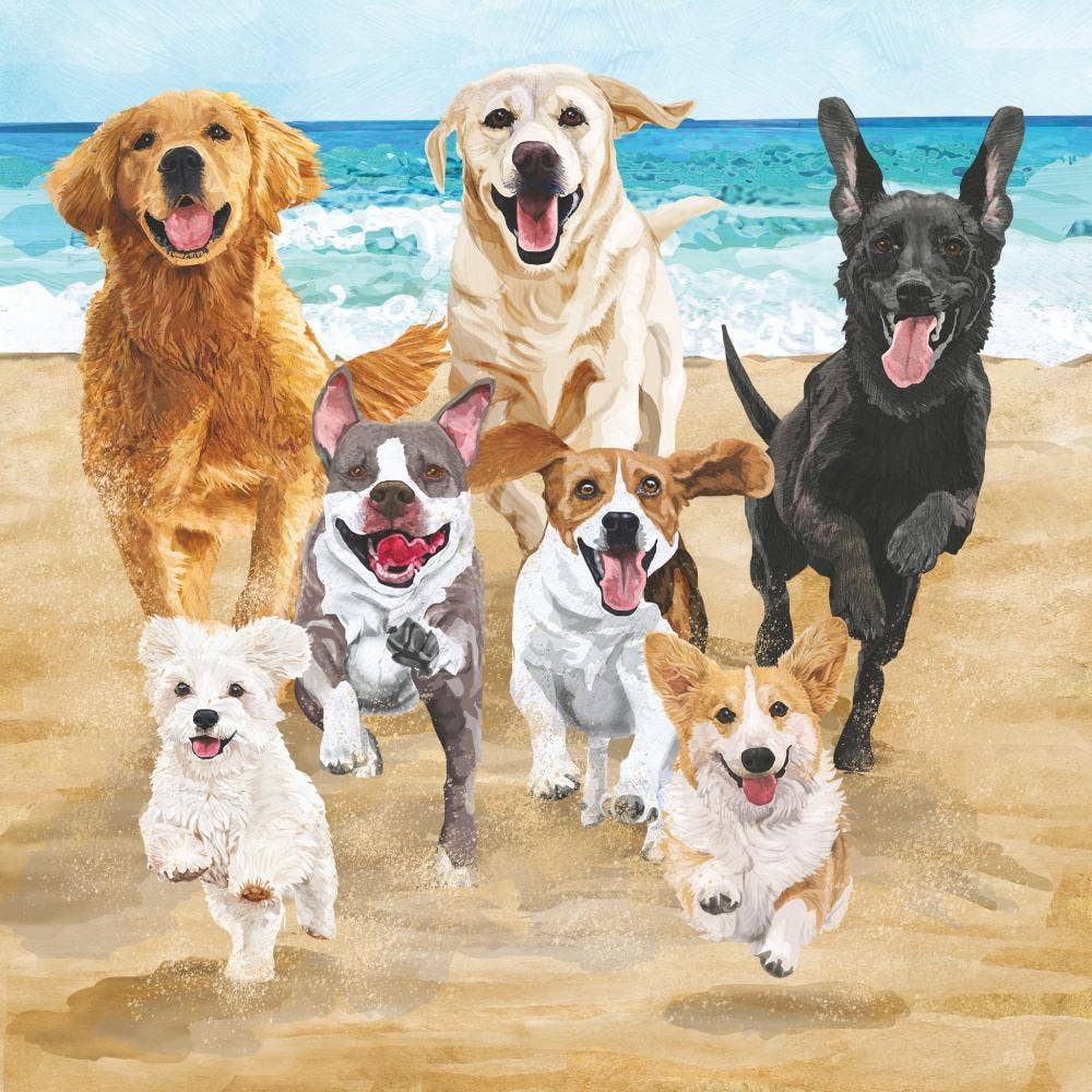 BEV-RELEASE THE HOUNDS