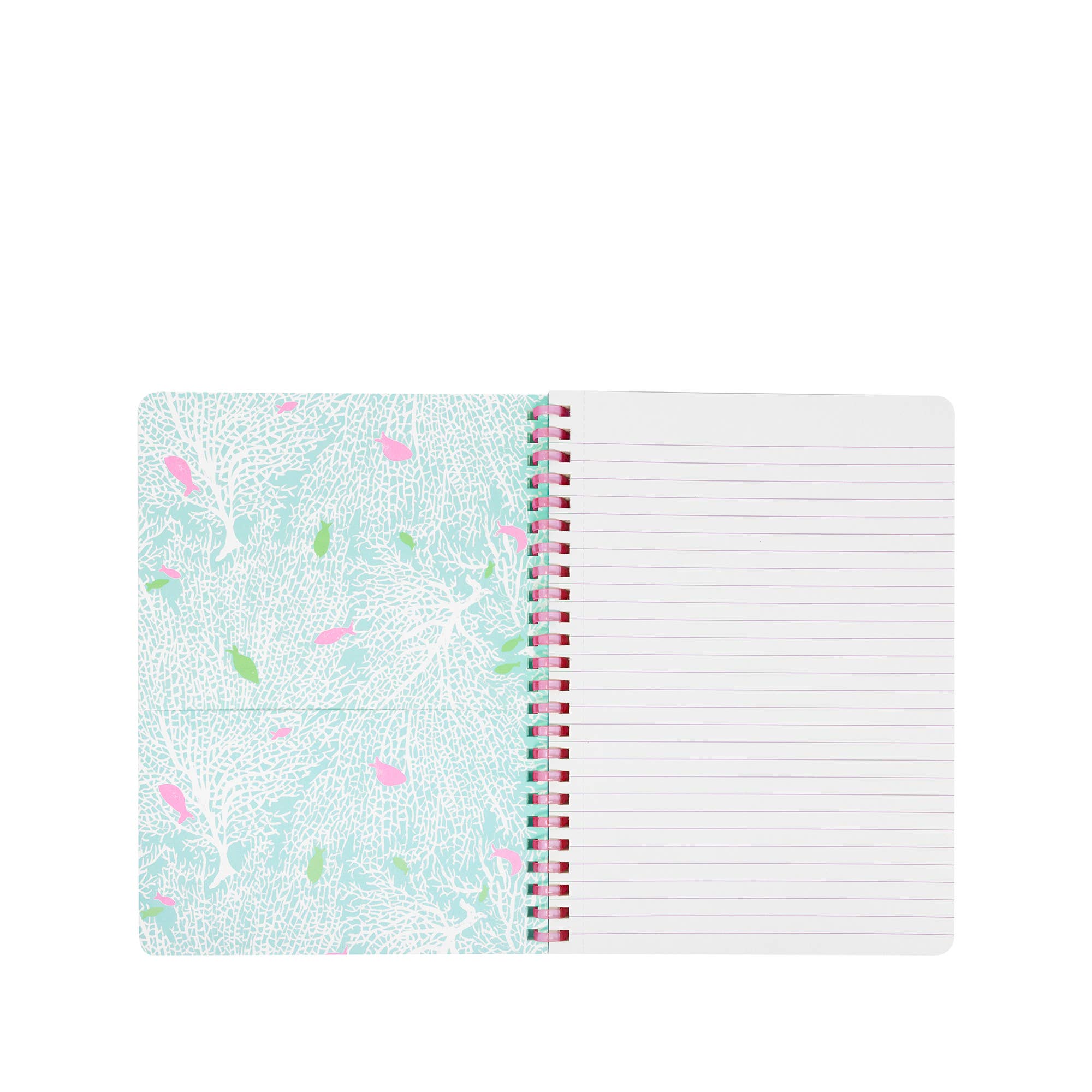 Mini Notebook, Shelden Shells