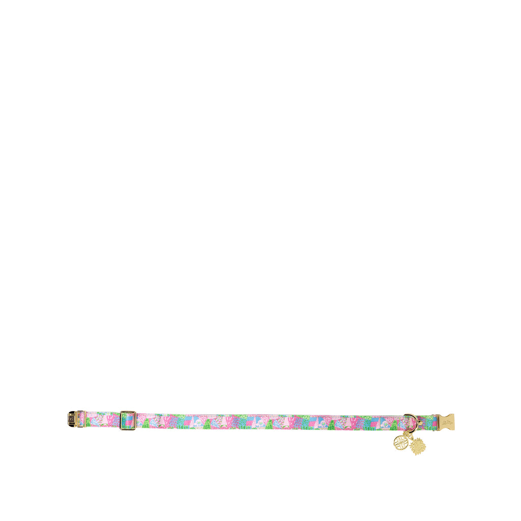 Dog Collar Crazy Quilt Home