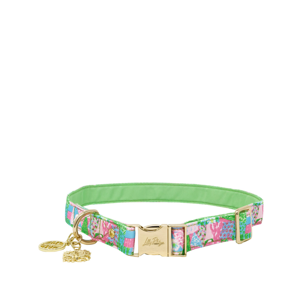 Dog Collar Crazy Quilt Home