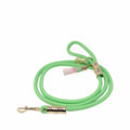Pet Leash Crazy Quilt Home